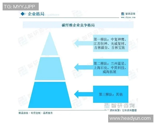 深圳排球队中路突破的优势与不足分析及未来发展方向探讨